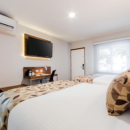 San Nicolás de los Garzas Sleep Inn Monterrey Norte מראה חיצוני תמונה